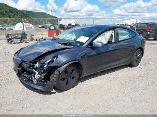 2023 TESLA MODEL 3 5YJ3E1EA8PF567641 Photo 1