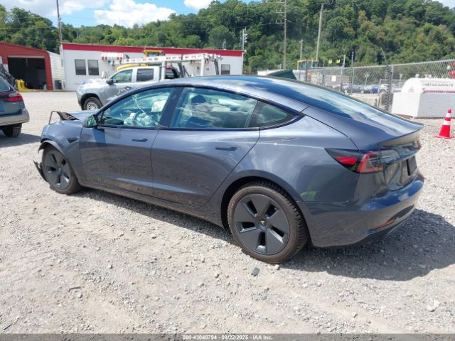 2023 TESLA MODEL 3 5YJ3E1EA8PF567641 Photo 2
