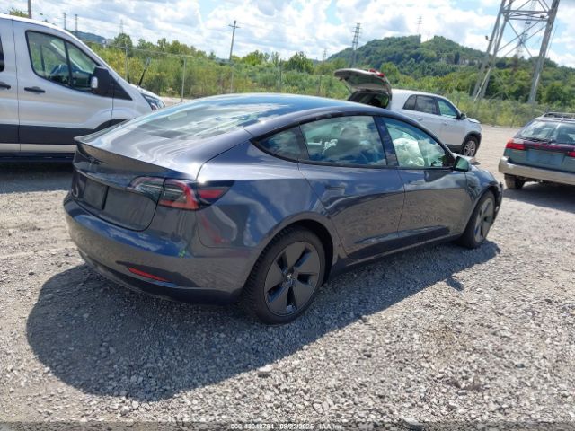 2023 TESLA MODEL 3 5YJ3E1EA8PF567641 Photo 3