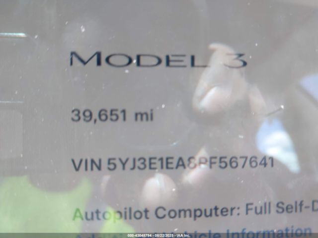 2023 TESLA MODEL 3 5YJ3E1EA8PF567641 Photo 6