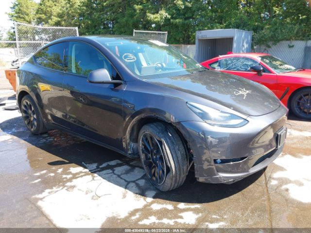2025 TESLA MODEL Y 7SAYGDEE5SA365868 Photo 5