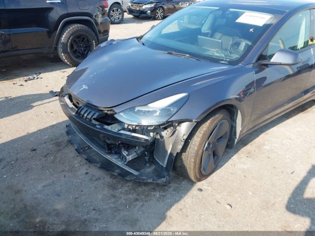 2023 TESLA MODEL 3 5YJ3E1EA5PF425537 Photo 5