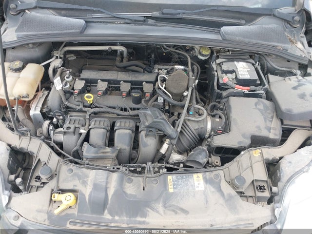 1FADP3F24EL460264 Ford Focus