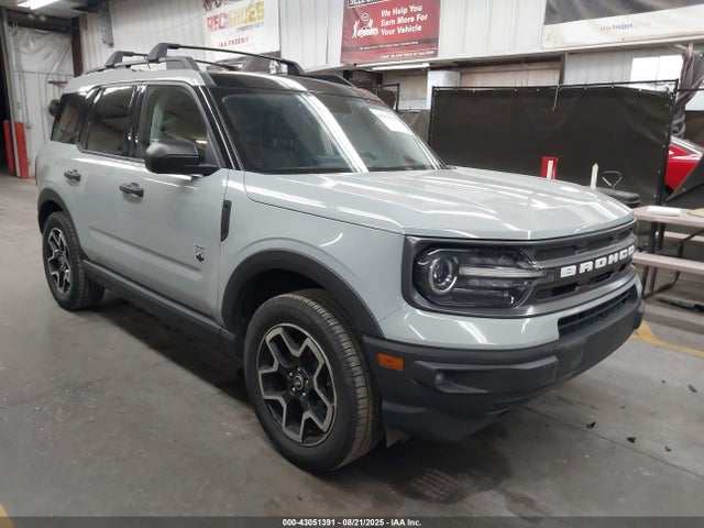 3FMCR9B6XMRA52696 Ford dragon