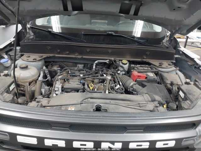 3FMCR9B6XMRA52696 Ford dragon