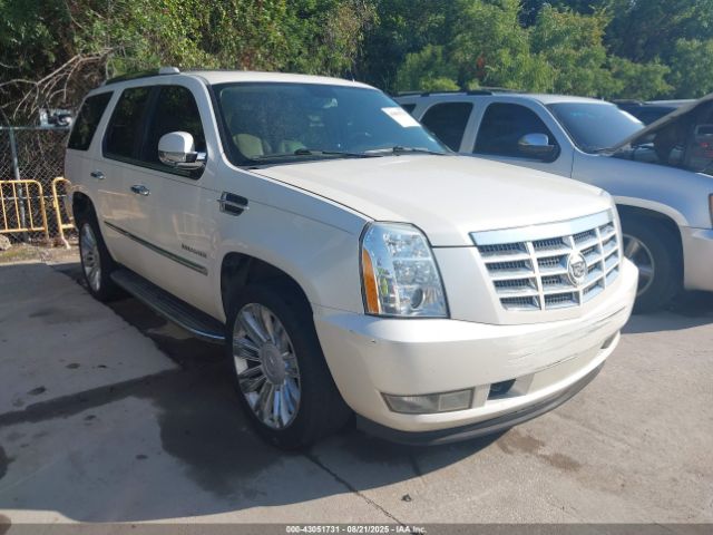 2011 CADILLAC ESCALADE 1GYS4AEF8BR252832