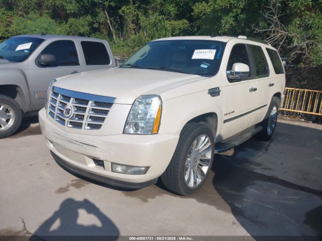 2011 CADILLAC ESCALADE 1GYS4AEF8BR252832 Photo 1