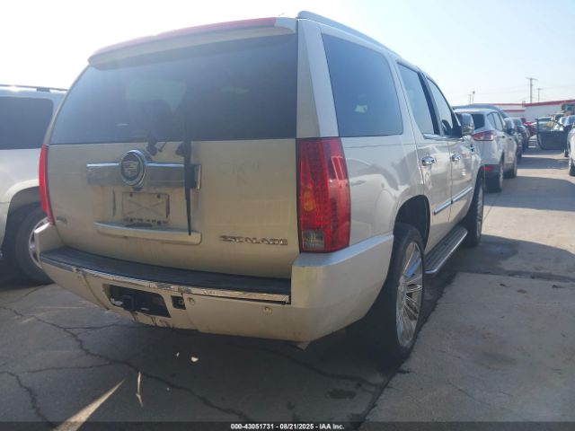 2011 CADILLAC ESCALADE 1GYS4AEF8BR252832 Photo 3