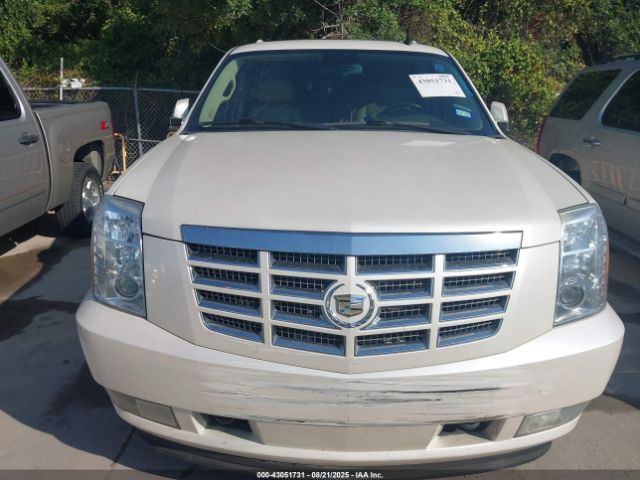2011 CADILLAC ESCALADE 1GYS4AEF8BR252832 Photo 5
