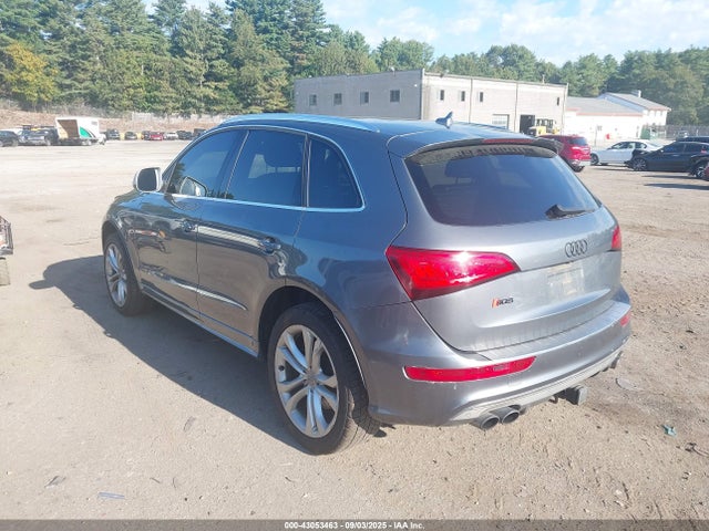 Audi SQ5 2014 WA1CGAFP0EA032087 Image 3