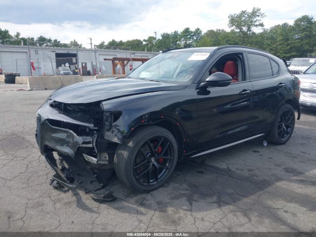 2021 ALFA ROMEO STELVIO ZASPAKBN3M7D20594 Photo 1