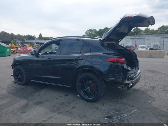 2021 ALFA ROMEO STELVIO ZASPAKBN3M7D20594 Photo 2