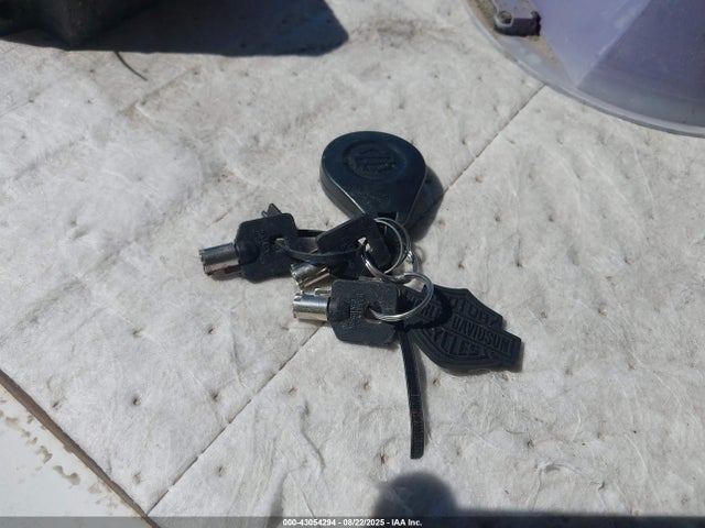 1HD1KTP18LB636865 Harley-Davidson Road Glide Special
