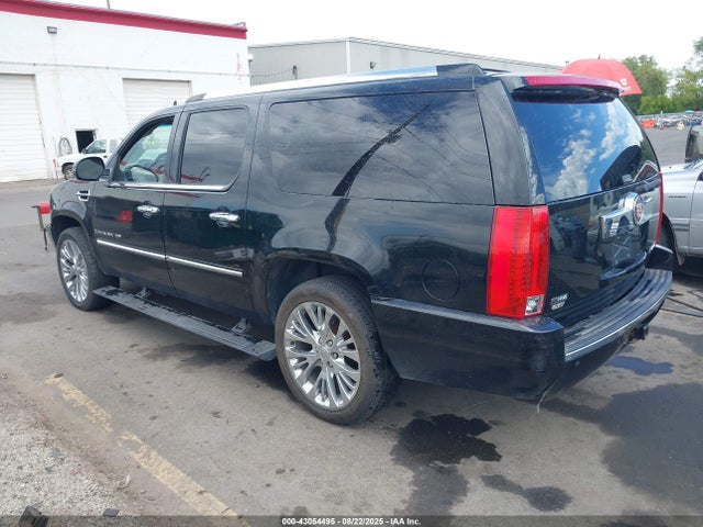 2009 CADILLAC ESCALADE ESV 1GYFK26249R146364 Photo 2
