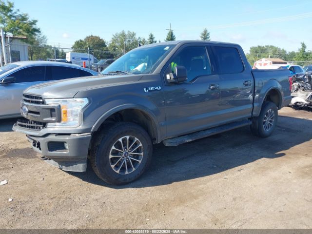 2020 FORD F-150 1FTEW1EP6LFB46288 Photo 1