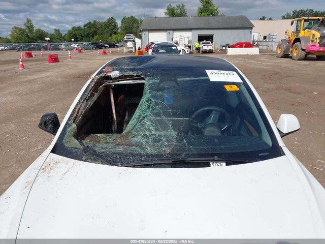 2023 TESLA MODEL 3 5YJ3E1EA4PF576675 Photo 5