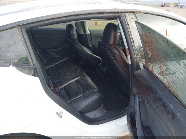 2023 TESLA MODEL 3 5YJ3E1EA4PF576675 Photo 7