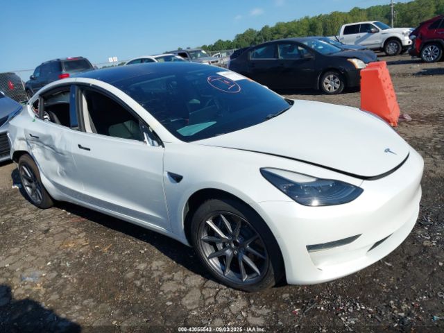 2021 TESLA MODEL 3 5YJ3E1EA7MF915246 Photo 0