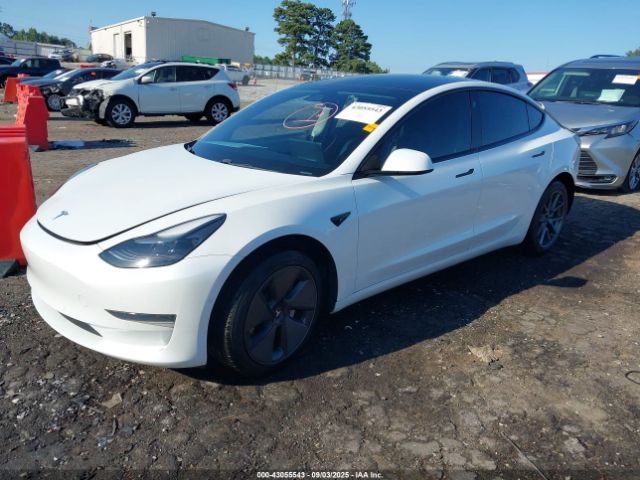 2021 TESLA MODEL 3 5YJ3E1EA7MF915246 Photo 1