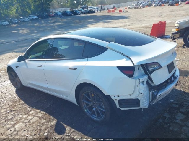 2021 TESLA MODEL 3 5YJ3E1EA7MF915246 Photo 2