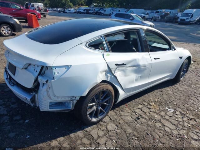 2021 TESLA MODEL 3 5YJ3E1EA7MF915246 Photo 3