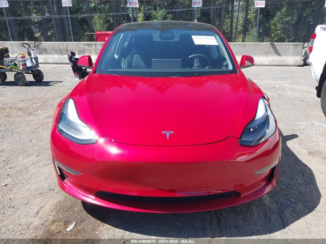 Tesla 2023 2023 5YJ3E1EA6PF385386 Image 12