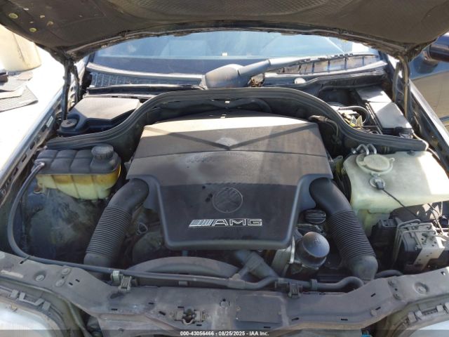 1999 MERCEDES-BENZ C 43 WDBHA33E4XF768854 Photo 9