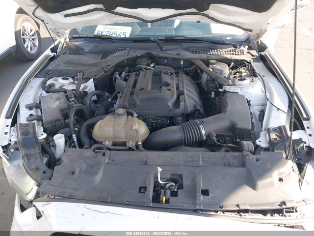 Ford 4v 2019 1FATP8UH9K5150286 Image 10