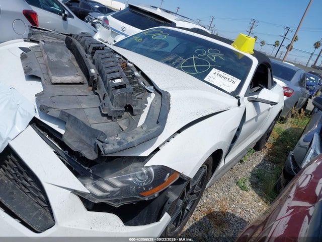 Ford 4v 2019 1FATP8UH9K5150286 Image 2
