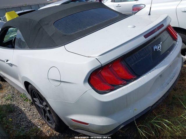 Ford 4v 2019 1FATP8UH9K5150286 Image 3