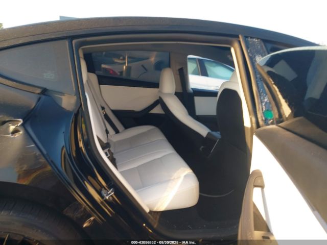 2024 TESLA MODEL 3 5YJ3E1EB6RF811993 Photo 7
