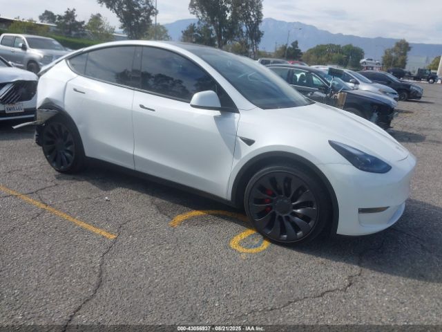 2023 TESLA MODEL Y 7SAYGDEF4PF753774 Photo 0