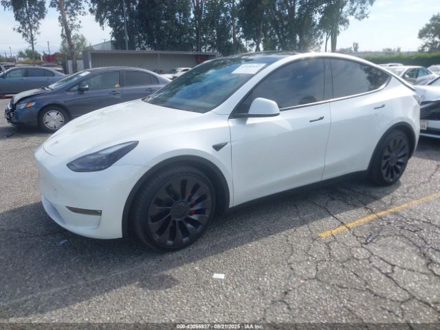 2023 TESLA MODEL Y 7SAYGDEF4PF753774 Photo 1