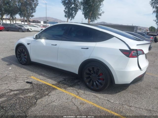 2023 TESLA MODEL Y 7SAYGDEF4PF753774 Photo 2