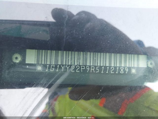 1994 CHEVROLET CORVETTE 1G1YY22P9R5112189 Photo 8