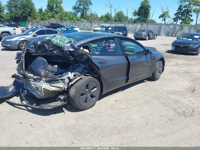2023 TESLA MODEL 3 5YJ3E1EA5PF423769 Photo 3