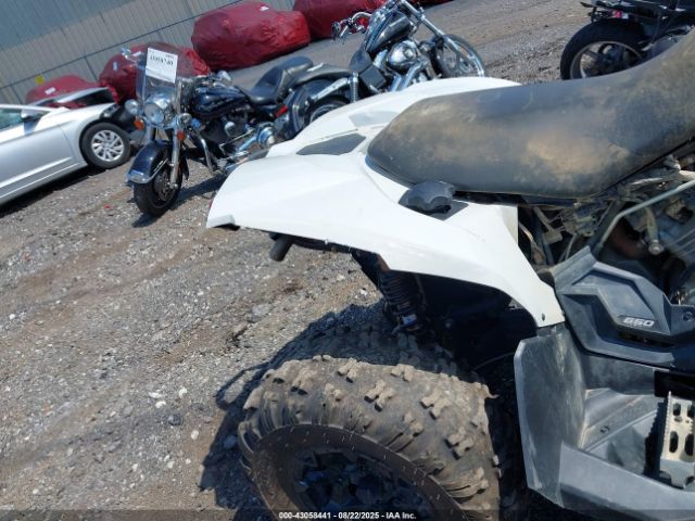 2024 CAN-AM RENEGADE 3JBMGAJ40RJ000034 Photo 3