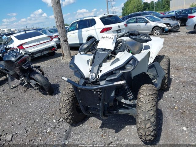 2024 CAN-AM RENEGADE 3JBMGAJ40RJ000034 Photo 4