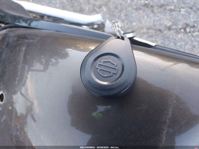 2020 HARLEY-DAVIDSON FXBB 1HD1YJJ1XLB022816 Photo 10