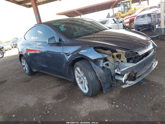 2023 TESLA MODEL Y 7SAYGDEE3PF812496 Photo 0