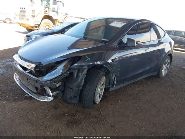 2023 TESLA MODEL Y 7SAYGDEE3PF812496 Photo 1