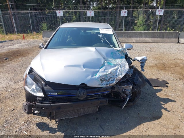 WVWKP7AU9GW910218 Volkswagen E-Golf