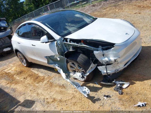 2023 TESLA MODEL Y 7SAYGDEE4PA083826 Photo 0