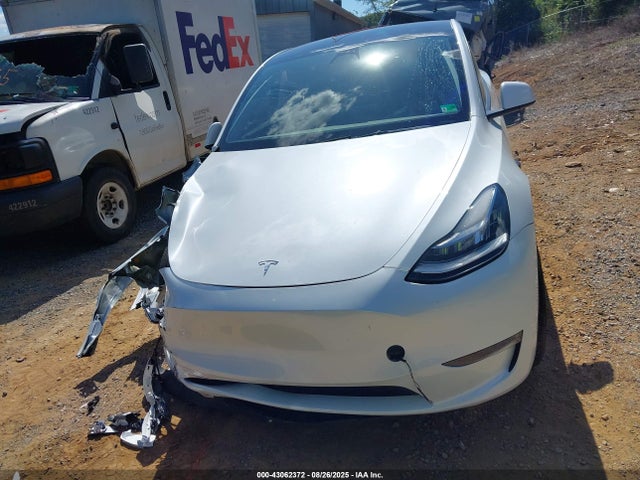 Tesla Model Y 2023 7SAYGDEE4PA083826 Image 13