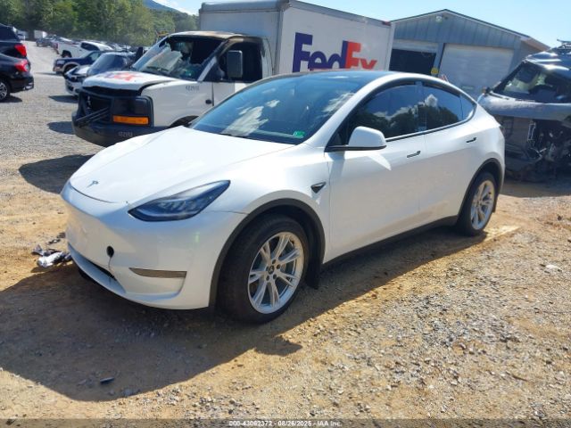 2023 TESLA MODEL Y 7SAYGDEE4PA083826 Photo 1