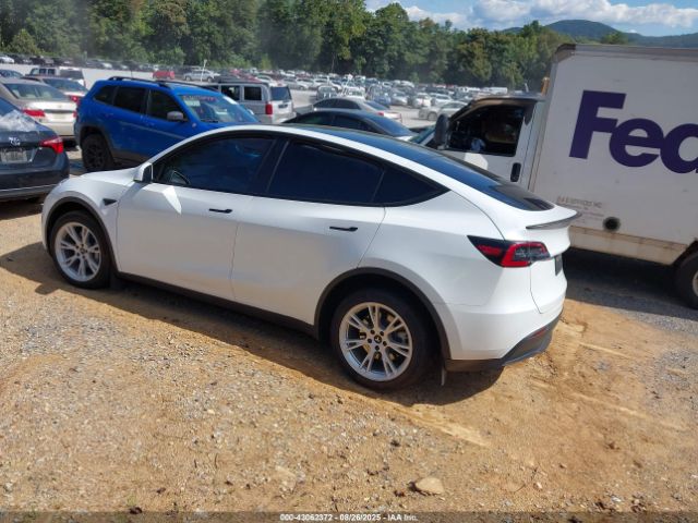 2023 TESLA MODEL Y 7SAYGDEE4PA083826 Photo 2