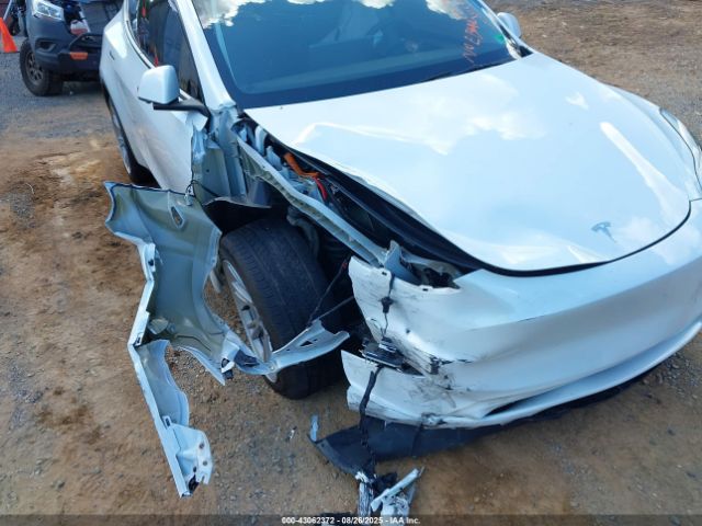 2023 TESLA MODEL Y 7SAYGDEE4PA083826 Photo 5