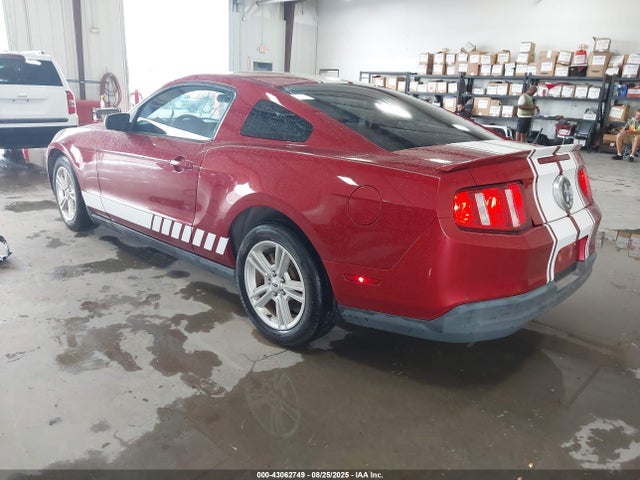 Продаж на аукціоні авто 2010 Ford Mustang V6/v6 Premium, vin: 1ZVBP8AN1A5165277, номер лоту: 43062749