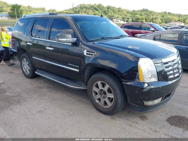 2011 CADILLAC ESCALADE 1GYS3BEF6BR215187 Photo 0
