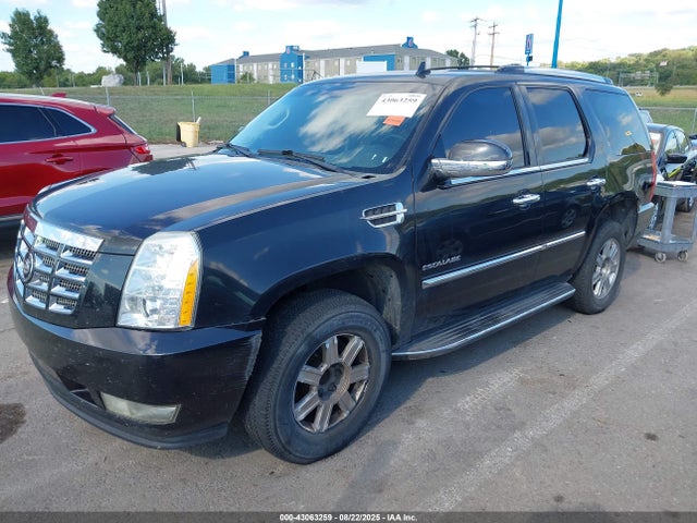 2011 CADILLAC ESCALADE 1GYS3BEF6BR215187 Photo 1